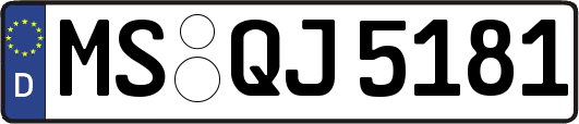 MS-QJ5181