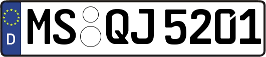 MS-QJ5201