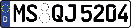 MS-QJ5204