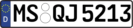 MS-QJ5213
