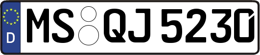 MS-QJ5230