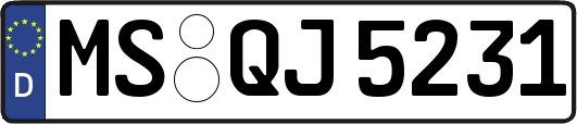 MS-QJ5231