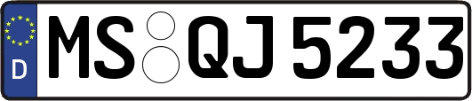 MS-QJ5233