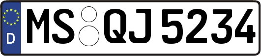 MS-QJ5234