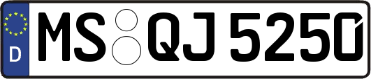 MS-QJ5250