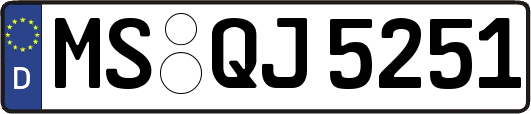 MS-QJ5251