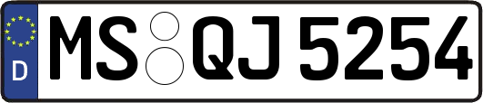 MS-QJ5254