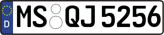 MS-QJ5256