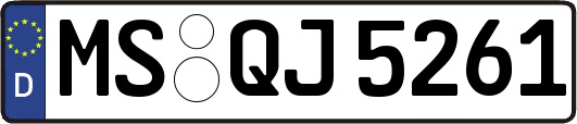 MS-QJ5261