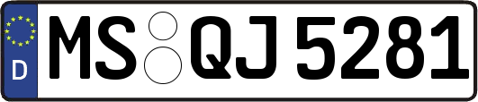 MS-QJ5281