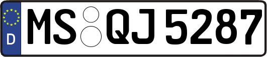 MS-QJ5287