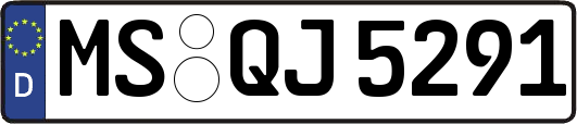 MS-QJ5291