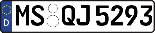 MS-QJ5293