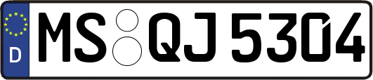 MS-QJ5304