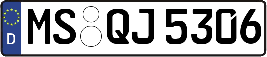 MS-QJ5306