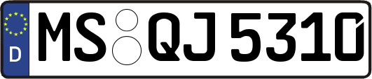 MS-QJ5310