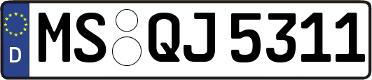 MS-QJ5311