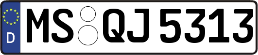 MS-QJ5313
