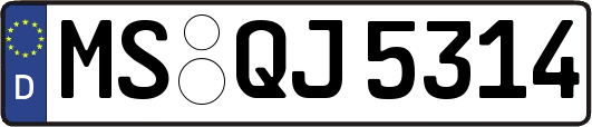 MS-QJ5314