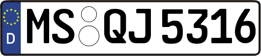 MS-QJ5316