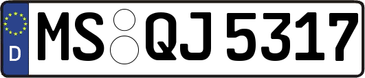 MS-QJ5317