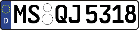 MS-QJ5318