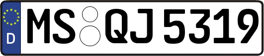 MS-QJ5319