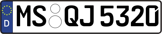 MS-QJ5320
