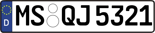 MS-QJ5321