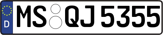 MS-QJ5355