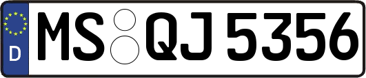 MS-QJ5356