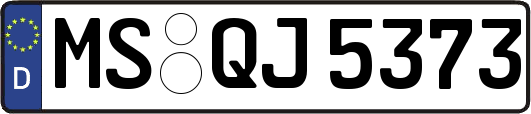 MS-QJ5373