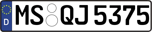 MS-QJ5375