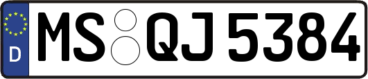 MS-QJ5384