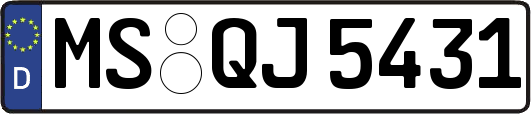 MS-QJ5431