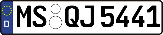 MS-QJ5441