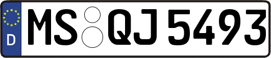 MS-QJ5493