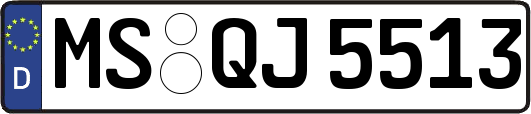 MS-QJ5513