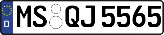 MS-QJ5565