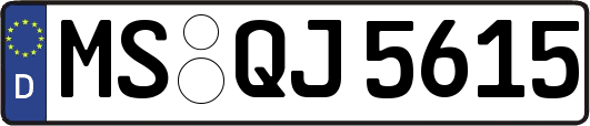 MS-QJ5615