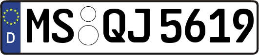 MS-QJ5619