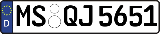 MS-QJ5651
