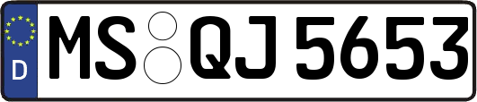 MS-QJ5653