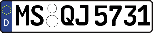 MS-QJ5731