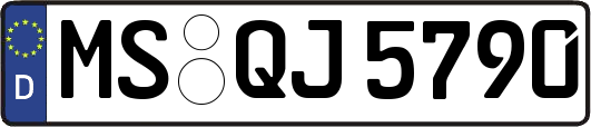 MS-QJ5790