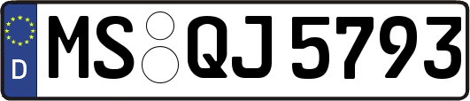 MS-QJ5793