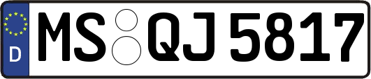 MS-QJ5817