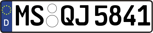 MS-QJ5841