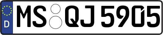 MS-QJ5905