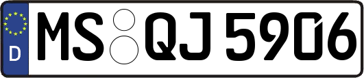 MS-QJ5906